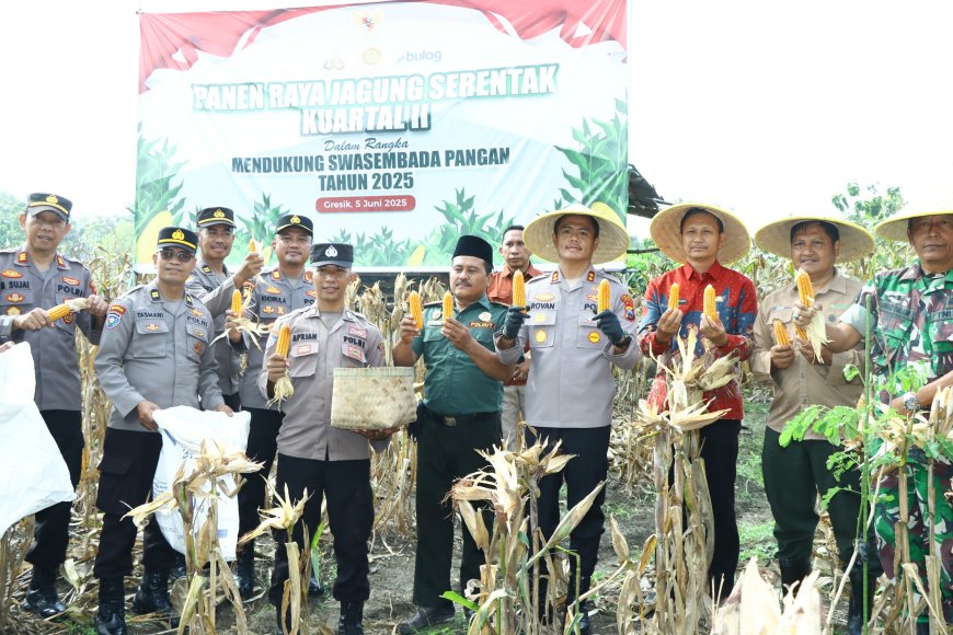 Kapolres Gresik Ikut Panen Raya Jagung, Dukung Swasembada Pangan 2025