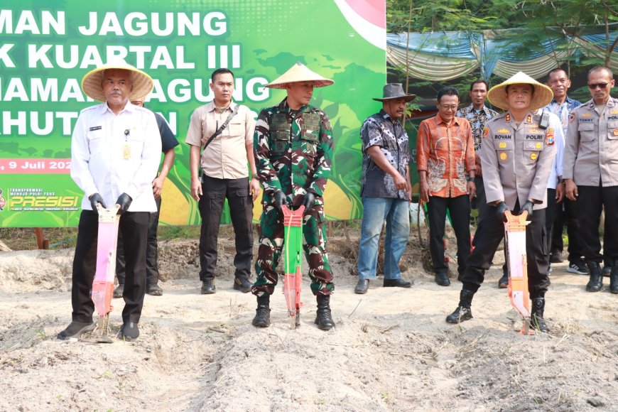 Genjot Swasembada Pangan, Polres Gresik Tanam Jagung Serentak di Lahan Semen Gresik di Randuagung