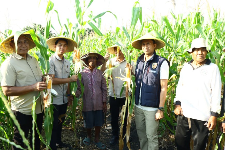 Dukung Ketahanan Pangan, Polres Gresik Gelar Penanaman Jagung Serentak di Lahan Perhutanan Sosial