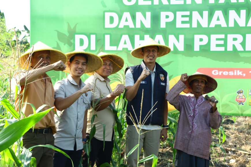 Dukung Ketahanan Pangan, Polres Gresik Gelar Penanaman Jagung Serentak di Lahan Perhutanan Sosial