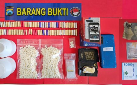 Jaringan Pengedar Ribuan Pil Koplo Diringkus Satresnarkoba Polres Gresik