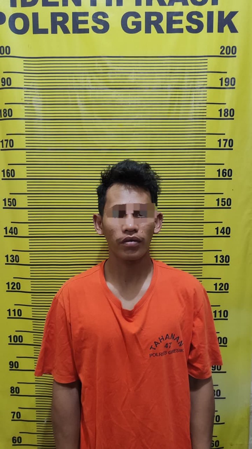 Pelaku Asusila Anak Dibawah Umur di Panceng Ditangkap Satreskrim Polres Gresik
