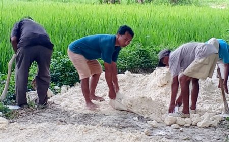 Tanpa Sentuhan Pemerintah Desa, Warga Krampon Terpaksa Perbaiki Jalan Poros Secara Swadaya