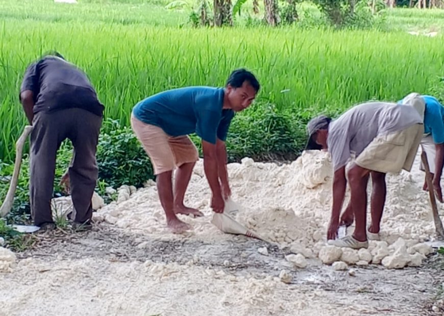 Tanpa Sentuhan Pemerintah Desa, Warga Krampon Terpaksa Perbaiki Jalan Poros Secara Swadaya