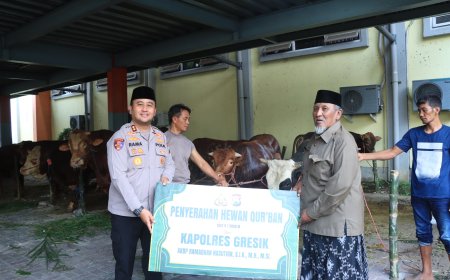 Polres Gresik Salurkan Hewan Qurban Idul Adha 2026, Wujud Kepedulian dan Kebersamaan