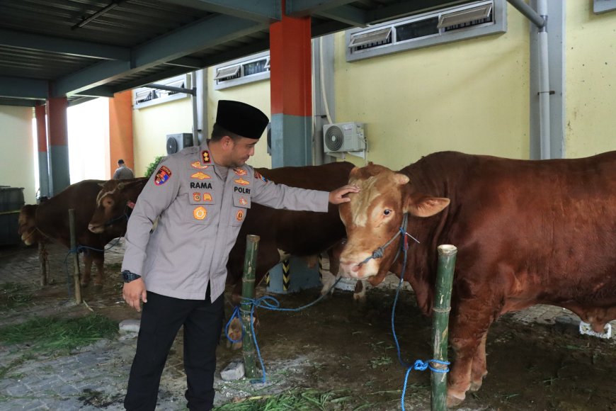 Polres Gresik Salurkan Hewan Qurban Idul Adha 2026, Wujud Kepedulian dan Kebersamaan