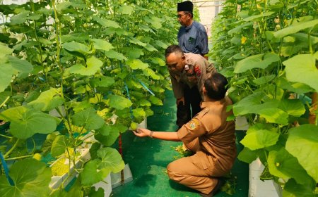 Polsek Manyar Pantau Budidaya Melon di Desa Suci, Wujud Dukungan Ketahanan Pangan Nasional
