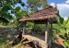 Polres Gresik Ungkap Kasus Kekerasan Seksual Berkedok Pengobatan Alternatif, Pelaku Manfaatkan Kerentanan Korban