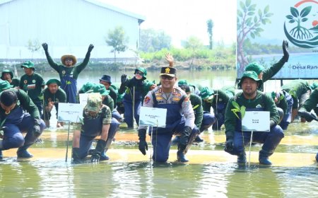 Polres Gresik Bersama Forkopimda dan PT Smelting Tanam 10.000 Mangrove di Randuboto, Jaga Ekosistem Pesisir