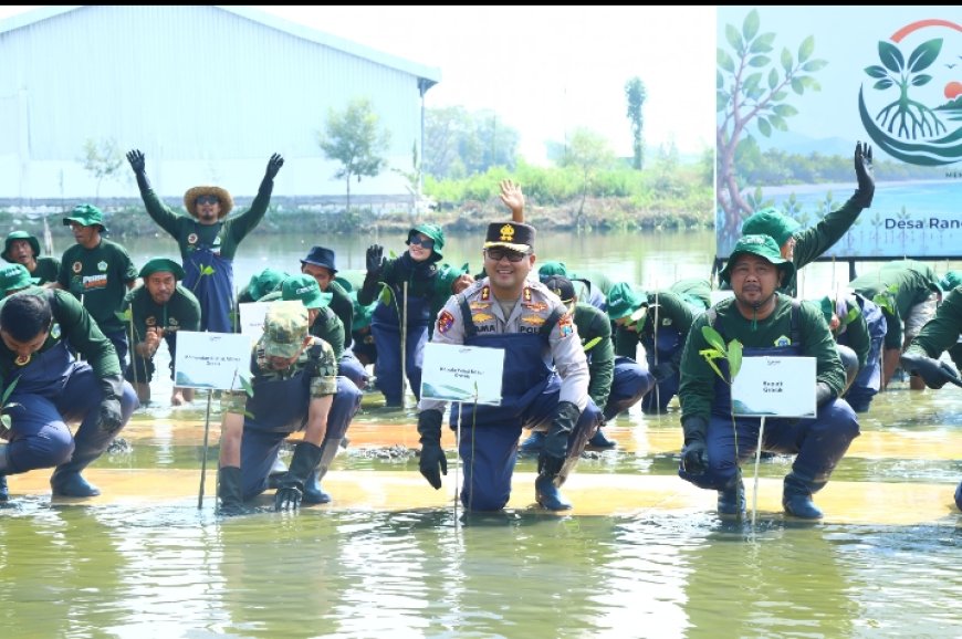 Polres Gresik Bersama Forkopimda dan PT Smelting Tanam 10.000 Mangrove di Randuboto, Jaga Ekosistem Pesisir