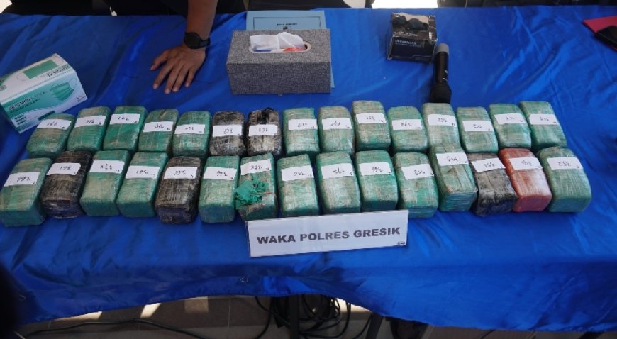 Warga Lapor Lewat 110, Satresnarkoba Polres Gresik Temukan 10,8 Kg Ganja dalam Vespa di Gudang Ekspedisi