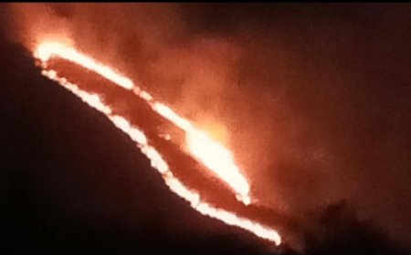 Kebakaran Hutan di Lereng Gunung Arjuno Meluas, Diperkirakan 50 Hektare Lahan Terbakar
